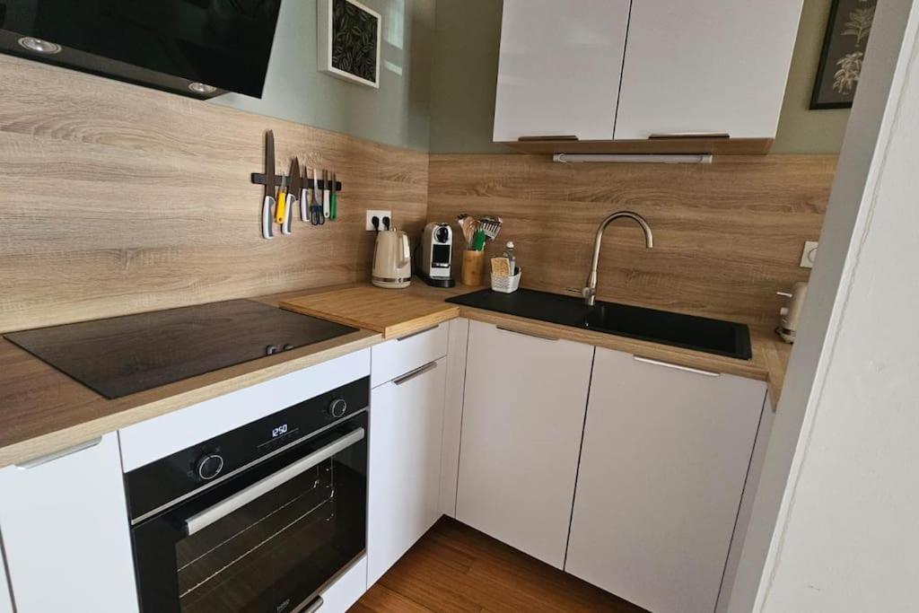 Apartament Le Grand Rue Thonon-les-Bains Zewnętrze zdjęcie